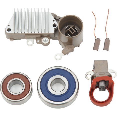 Kit de régulateur d'alternateur 1002113160 résistant au vieillissement, forte résistance, adapté pour 4Runner L4 2,4 L 1985-1991 (1/5)