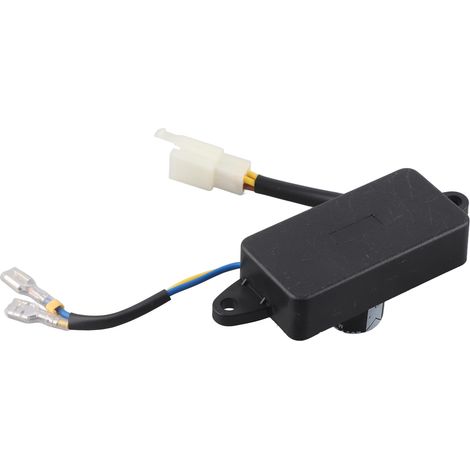 Régulateur de tension automatique universel AVR 250 V 220 µF pour générateur de 1 à 3 kW (1/5)