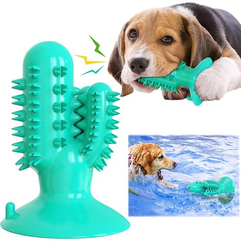 Pet voix bâton molaire cactus jouet pour chien balle jouet à mâcher pour animaux de compagnie