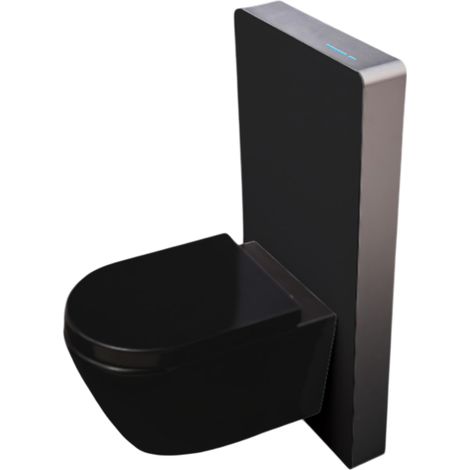 WC-Komplettpaket Bernstein 33 B-8030R Schwarz matt mit Soft-Close Sitz & Sanitärmodul 805S Schwarz
