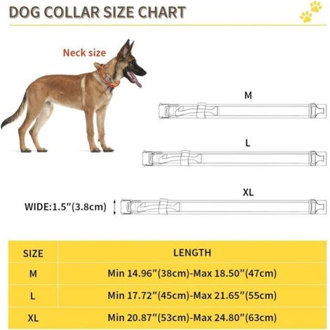Marron Collier de Chien Tactique avec Poignée de Commande Collier Réglable Militaire en Nylon, Boucle en Métal, Rembourré pour Chiens de Taille Moyenne, Entraînement de Chasse/Extérieur (M) (1/4)
