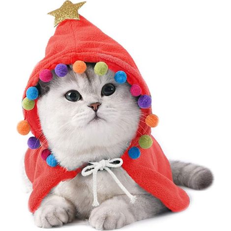 Costume de Noël pour animaux de compagnie : cape de Noël pour chiot avec étoile et pompons, cape de Père Noël pour chat avec bonnet de Père Noël, pour chiens de petite et moyenne taille. (1/4)