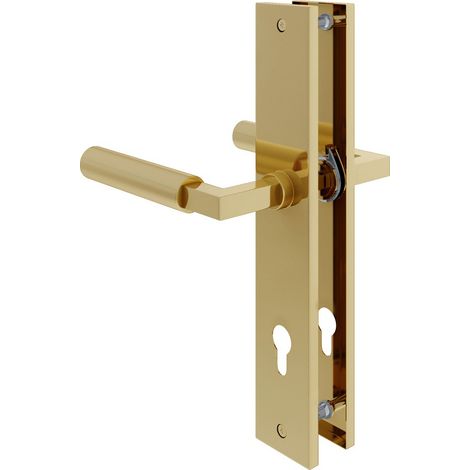 Baustil Türdrücker Schildgarnitur Langschild Türbeschlag Messing Optik Türgriff Profilzylinder