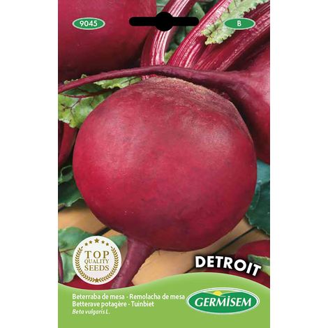 graines Betterave potagère DETROIT