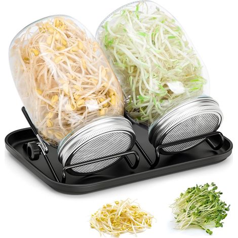 2 x 1000ml Glass Seed Germination Jar with Stainless Steel Lid, Adjustable Stand and Black Tray for Lentils, Alfalfa, Mungo Beans (1/5)