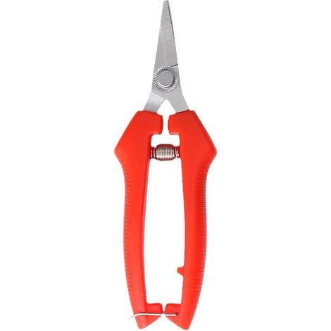 Sécateur, sécateur à fruits, sécateur de jardinage domestique, greffage de fleurs, outils d'élagage (1/5)