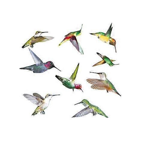 Autocollant anti-collision 3D pour fenêtres avec oiseaux - Nouveaux autocollants colibris pour éviter les collisions avec les fenêtres, balcons, terrasses et vérandas (1/5)
