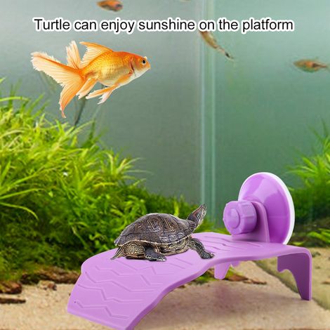 Plateforme flottante d'escalade pour tortue en plastique (violet, S) (1/5)