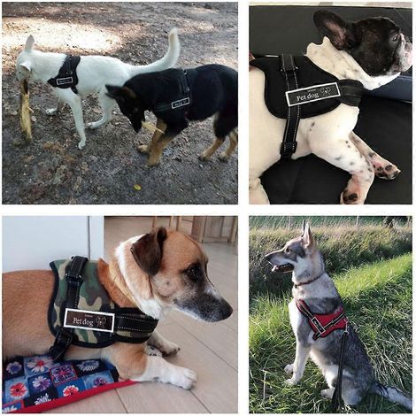 Atmungsaktives Mesh-Hundegeschirr für komfortable Kontrolle, 3-teilig, Schwarz (1/5)