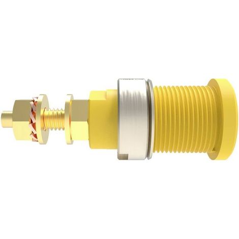 Schützinger DI SEB 6446 Au / GNGE Presa integrata di sicurezza Verde-Giallo 1 pz.