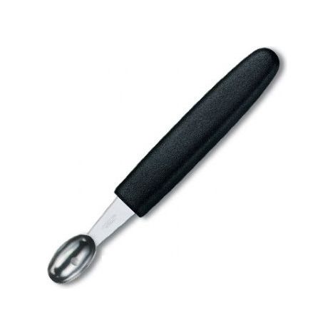Victorinox scavino ovale professionale manico nylon (1/3)