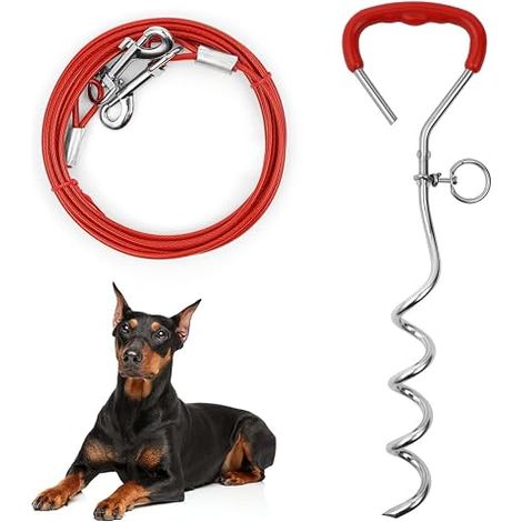 Piquet Ancrage pour Chien, 3m/6m Piquet d'Ancrage Spirale pour Chien, Sardines de Fixation pour Chien, Chaîne pour Chien d'extérieur, Ancrage au Sol pour Petits, Moyens et Grands Chiens (1/5)