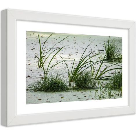 Quadro con cornice, Erbe sulla spiaggia - 45x30 (1/5)