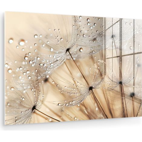 CUADRO DE METACRILATO Diente de león - Abstracto - Naturaleza - Beige Cuadros Decorativos 120x80 (1/5)