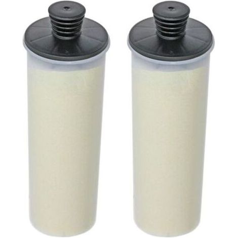 Houhence – Lot de 2 cartouches filtrantes détartrantes pour Karcher SC3 SC3MX EasyFix – Remplacement rapide – Prolonge la durée de vie de l'appareil (1/5)