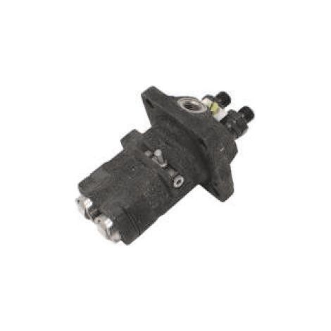 Pompa iniezione motore DIESEL LOMBARDINI RUGGERINI RD220 RD270 656.19