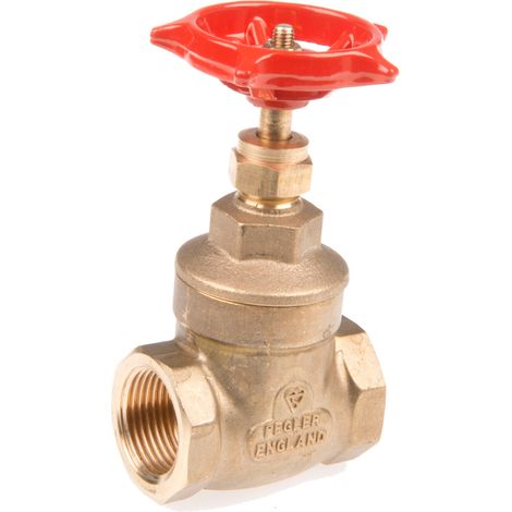 Soupape de sortie RS PRO, 3/4pouce ( Prix pour 1 ) (1/3)