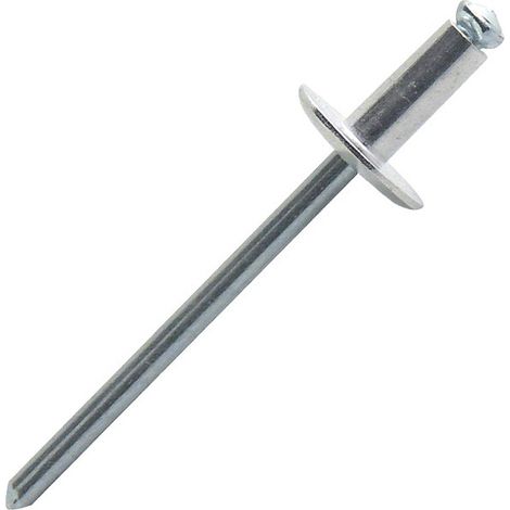 Rivet éclaté tête large Ø4,8x12 mm contre arrachement support boîte 250 ...