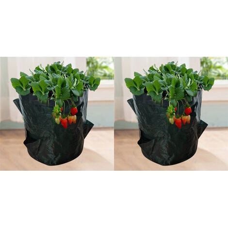 Sacs de Culture pour Fraises 18L - Lot de 2 Pots Géotextiles avec Fenêtre - 23x28cm 4 Ouvertures - Sacs de Jardin pour Légumes et Plants (1/5)