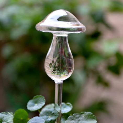 Arrosoir En Verre - Système D'arrosage Automatique Pour Plantes En Pot - Usage Intérieur Et Extérieur - Capacité 100 ml - 1 Pièce (1/3)