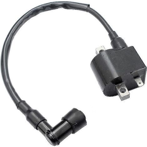 Ignition coil 33410-35340 for Suzuki LT50 LTA50 50cc AX100 AK100 FR80 Jr50 quad (1/5)