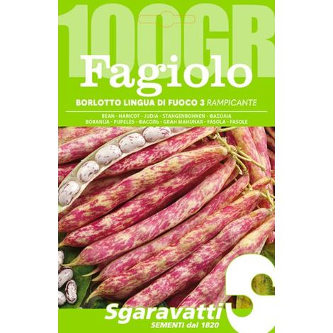 Semi per Fagioli Fagiolo Borlotto Rampicante Lingua di Fuoco 5 Pezzi 3 gr