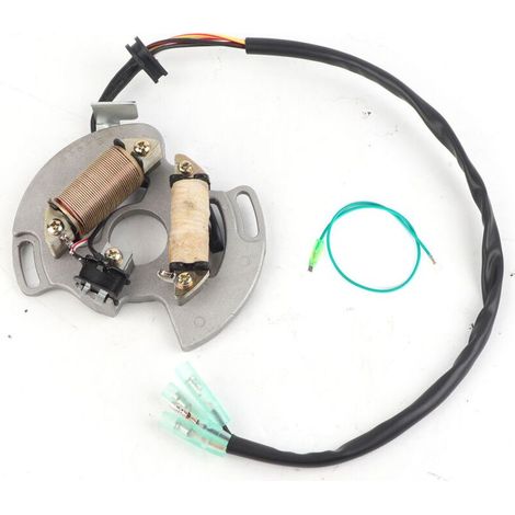 Ersatz-Stator-Magnetspule für ATVs, passend für Yamaha Blaster 200 YFS200 97-02 (1/5)