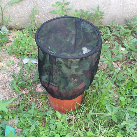 Filet de Protection pour Plantes avec Fermeture Éclair - Housse de Jardin en Maille pour Fruits et Légumes (1/5)