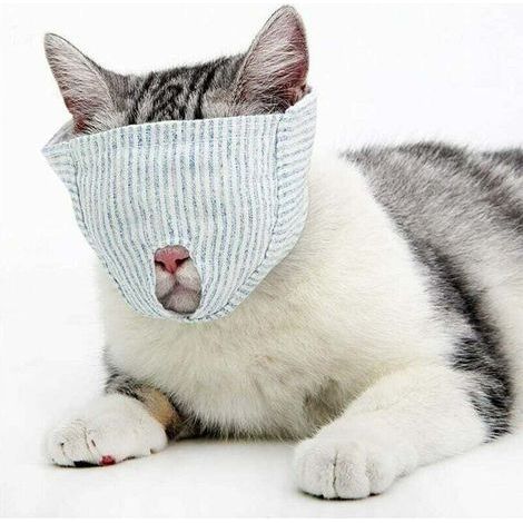 Muselière pour Chat en Coton Bio Taille S, Respirante pour Toilettage et Coupe des Griffe, Protection Oculaire Intégrée - (1/4)