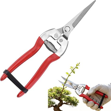 Sécateur, Sécateurs à Lames croisantes, Adapté à la Taille des Branches dans Le Jardin et à la Taille des Fleurs(Rouge)