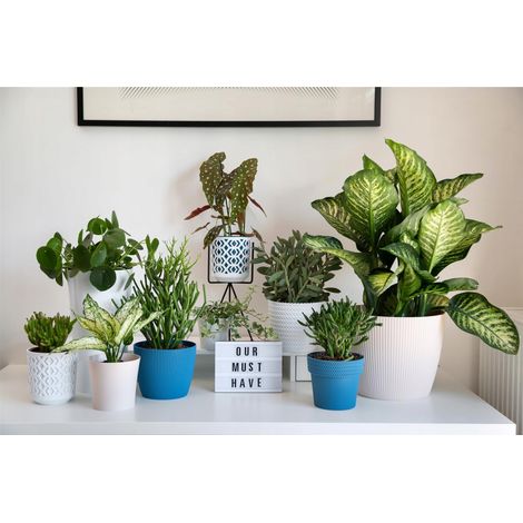 Cache-pot en plastique blanc 16 cm Magnolia Jumper