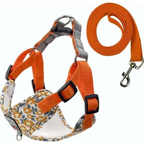 Fournitures pour animaux de compagnie Laisse respirante pour chien Laisse imprimée pour chien de promenade pour chien de petite et moyenne taille Nouveau harnais pour animaux de compagnie en gros (1/3)