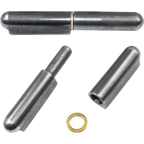 2 Pièces Gond Porte Charnière Acier 120mm Bague Laiton Charge 180kg Soudure Portail Fenêtre (1/5)