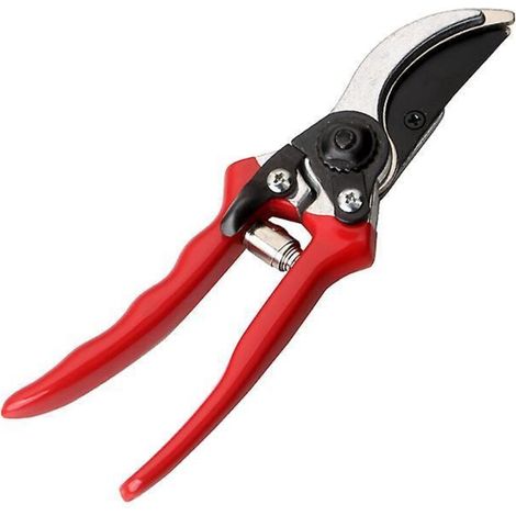 scateur En Acier De 20,3 Cm, Rouge
