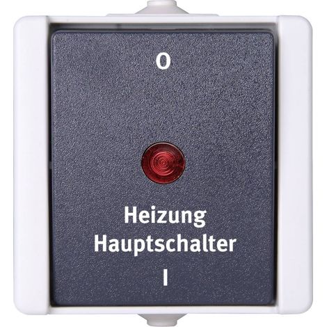 Interrupteur principal chauffage proAQA 10A, 250V, 2 pôles et lampe (1/2)