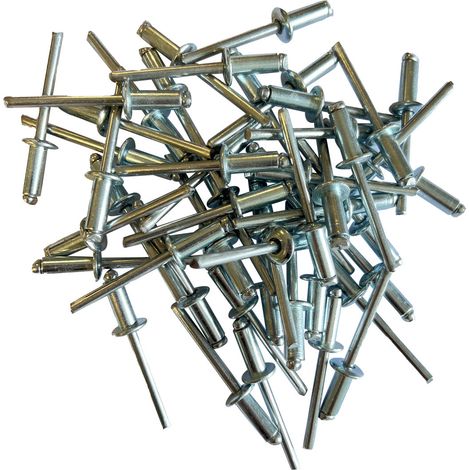 Sachet de 250 rivets acier standards de 6 x 15