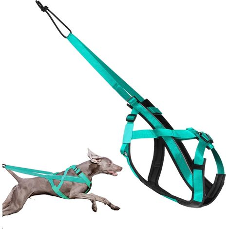 Harnais de Traction pour Chien - Harnais Canin (1/5)