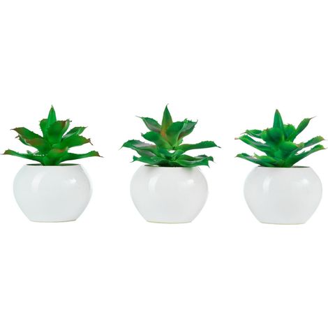 ARPIMEX Agave in Vaso di Ceramica D 14 Cm 1 Pz