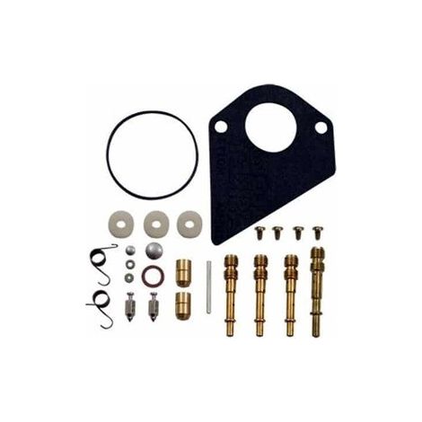 Dichtungssatz reparatursatz vergaser BRIGGS ET STRATTON 495799 - 497535 - 494880 - 494384