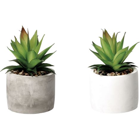 VASO CON PIANTA GRASSA DECORATIVA D.10XH18CM IN 2 (1/3)