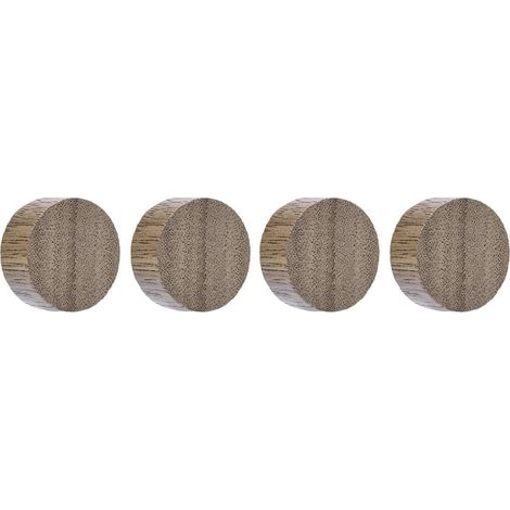 magnetoplan Magnete Circle (Ø) 30 mm Noce 4 pz. 1665451 (1/5)