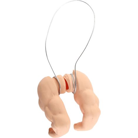 Décoration pour animaux de compagnie : bras de poulet, décoration amusante, jouets décoratifs amusants pour volailles