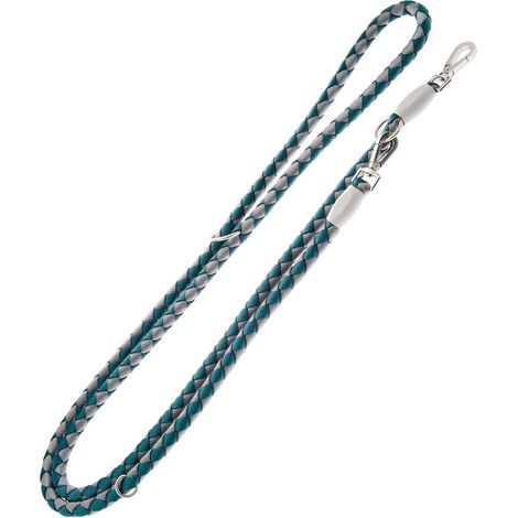 Guinzaglio addestramento super resistente in nylon intrecciato e anima in corda Nodo 1,5x250 cm per cani - Azzurro (1/5)