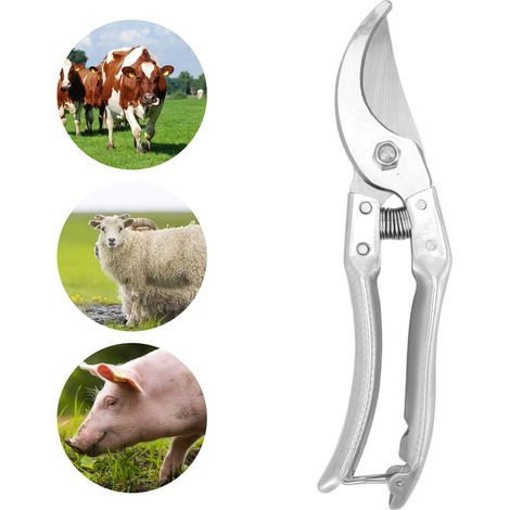 Coupe-Ongles Professionnel pour Animaux Tailleuse de Sabots pour Chevres, Porcs, Bovins Argent Stainless Steel Longueur 21.5 cm 288g 1 Trimmeur + 1 Ressort + 2 Accessoires (1/5)