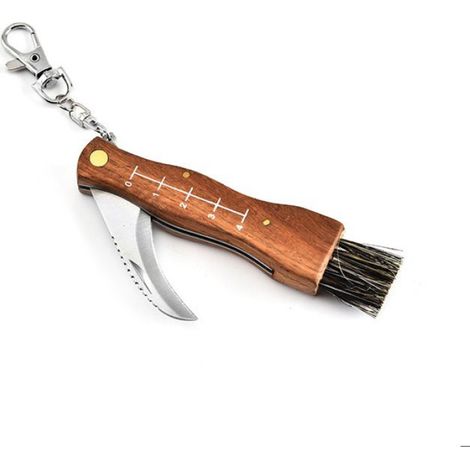 Couteau À Champignons - Lame Double Face - Brosse Intégrée - Acier Inoxydable 3Cr13 - Pliable - 17 cm - 1 Pièce (1/5)