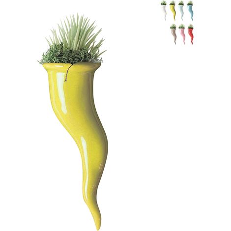 Pianta grassa succulenta in vaso cornetto di ceramica Paola Rolando Partenope - Giallo