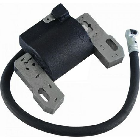 Brigg & Stratton Bobina elettronica nuovi motori Vanguard bicilindrici
