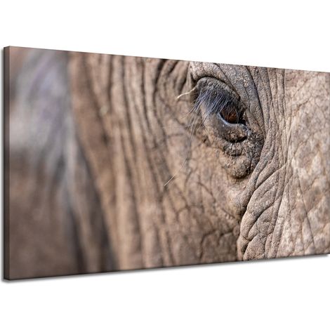 Leinwanddruck „Tiere“ Elefantenauge 120x70 cm
