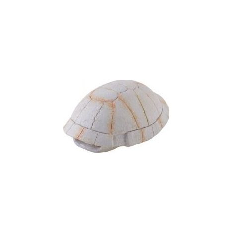 Exo Terra Dino Turtle Mini