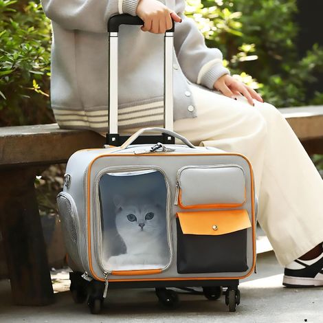 Rollbare Haustiertransportbox – Tasche für Katze/Hund/Welpe, ideal für Reisen